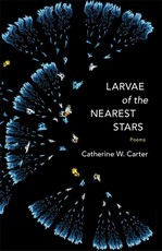Larvae of the Nearest Stars