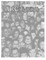 100 Years of ARC Memories