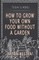 How To Grow Your Own Food Without A Garden