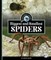 Biggest and Smallest Spiders