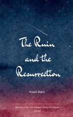 The Ruin and the Resurrection Poems from the Edges of Silence