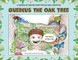 Quercus the Oak Tree