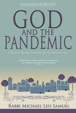 God and the Pandemic, A Judaic Reflection on the Coronavirus