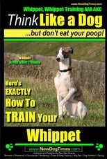 Whippet, Whippet Training AAA AKC