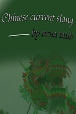 Chinese Current Slang