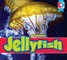 All About Jellyfish