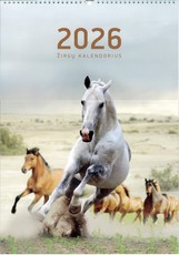 Sieninis žirgų kalendorius 2026