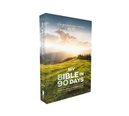 Niv, Bible in 90 Days, Paperback