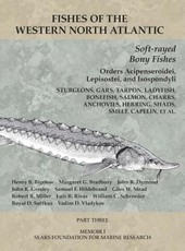 Soft-rayed Bony Fishes