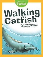 Walking Catfish