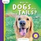 Why Do Dogs Wag Their Tails?