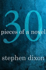 30 Pieces of a Novel
