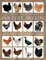 The Concise Encyclopedia of Poultry Breeds