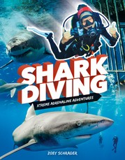 Shark Diving