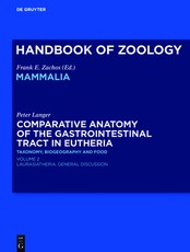 Comparative Anatomy of the Gastrointestinal Tract in Eutheria II