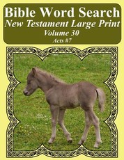 Bible Word Search New Testament Large Print Volume 30