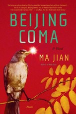 Beijing Coma