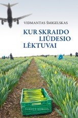 Kur skraido liūdesio lėktuvai