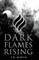 Dark Flames Rising