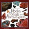 Rocks, Fossils & Arrowheads