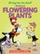 Oh Say Can You Seed? All about Flowering Plants