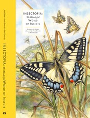 The Wonderful World of Insects