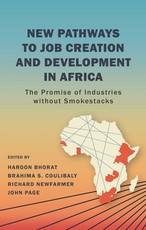 New Pathways to Job Creation and Development in Africa