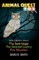 Animal Quest