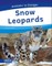 Snow Leopards