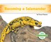 Becoming a Salamander