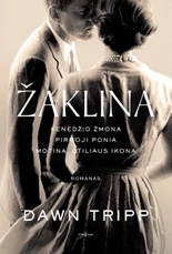 Knygos.lt blitz kaina