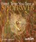 Next Time You See a Spiderweb