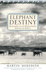 Elephant Destiny