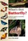 What's that Butterfly?