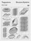 Tragsysteme / Structure Systems