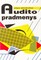Audito pradmenys
