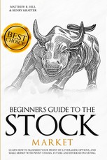 BEGINNERS GUIDE TO THE STOCK MARKET