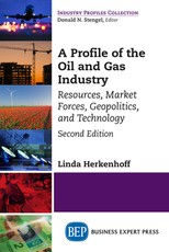 A Profile of the Oil and Gas Industry, Second Edition
