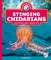 Stinging Cnidarians