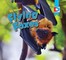 All About Flying Foxes