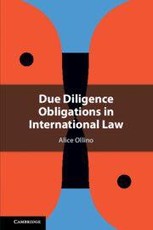 Due Diligence Obligations in International Law