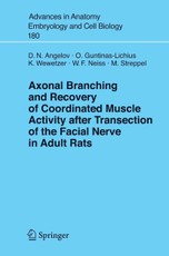 Axonal Branching and Recovery of Coordinated Muscle Activity after Transection of the Facial Nerve in Adult Rats