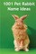 1001 Pet Rabbit Name Ideas
