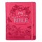 KJV My Creative Bible Pink Lux KJV My Creative Bible Pink Lux