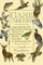 Game Cookery