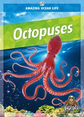 Octopuses