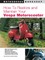 How to Restore & Maintain Your Vespa Motorscooter