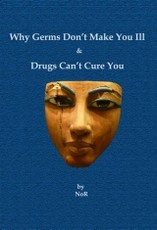Why Germs Don't Make You Ill and Drugs Can't Cure You