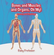 Bones and Muscles and Organs, Oh My! | Anatomy and Physiology