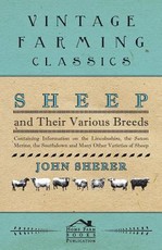 Sheep and Their Various Breeds - Containing Information on the Lincolnshire, the Saxon Merino, the Southdown and Many Other Varieties of Sheep